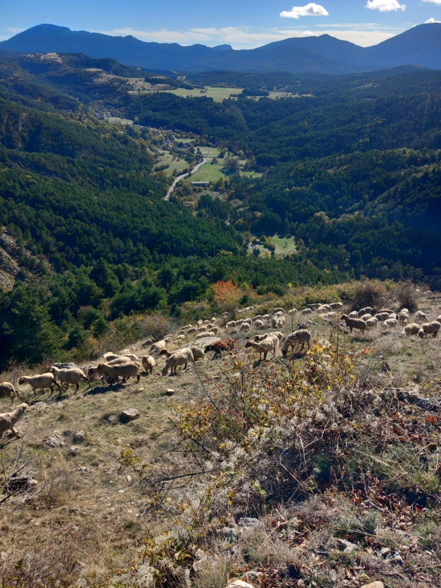 Peyroules Gite La Mountagna מראה חיצוני תמונה
